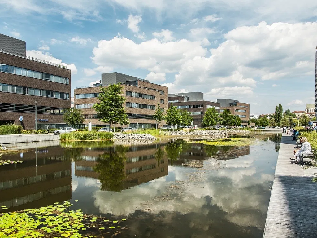Holandská, Brno - jih - Brno-město | Pronájem, Administrativní budova, 10 162 m²