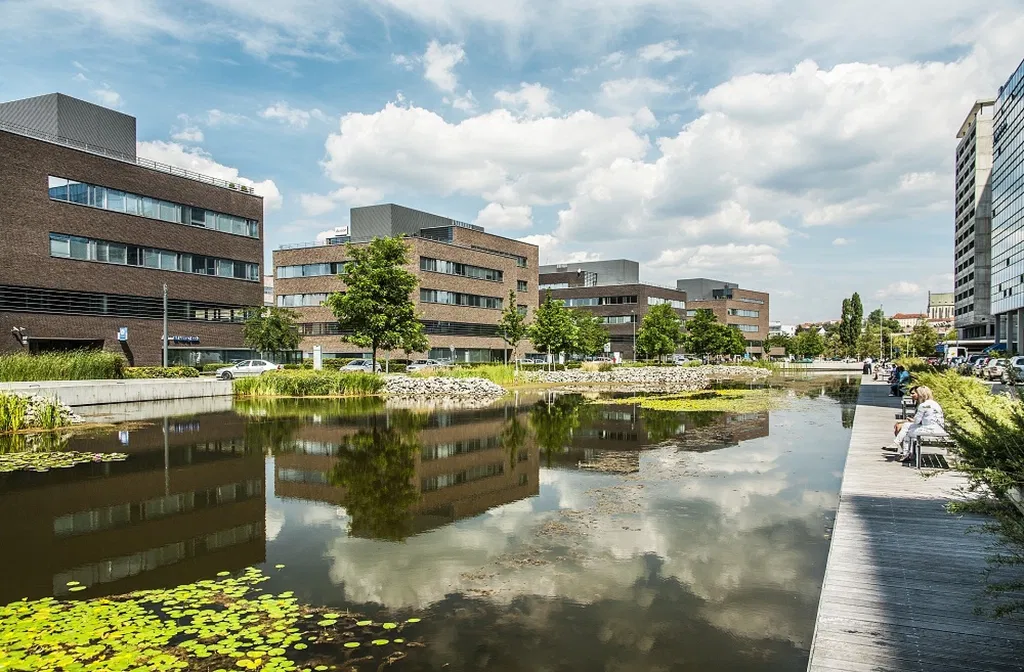 Holandská, Brno - jih - Brno-město | Pronájem, Administrativní budova, 10 162 m²