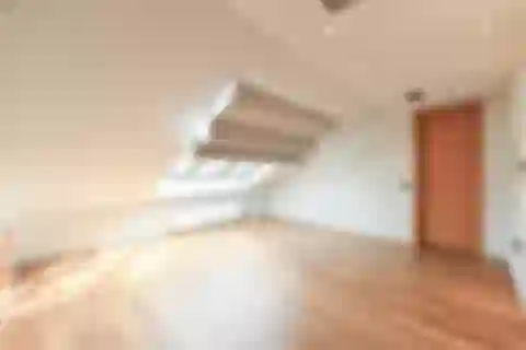 Slavíkova, Vinohrady - Prague 2 | Rent, Apartment, Four-bedroom (5+kk), 210 m²