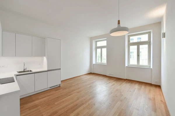 Dykova, Vinohrady - Prague 10 | Rent, Apartment, One-bedroom (2+kk), 49 m²