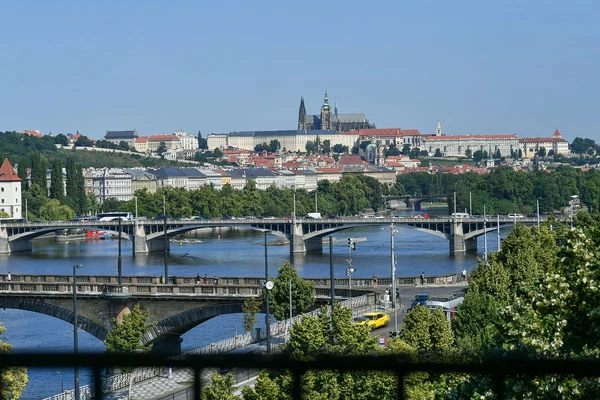 Dřevná, Nové Město - Praha 2 | Pronájem, Byt, 4+1, 156 m²