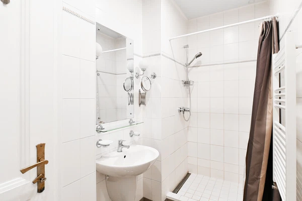 Dřevná, Nové Město - Prague 2 | Rent, Apartment, Three-bedroom (4+1), 156 m²