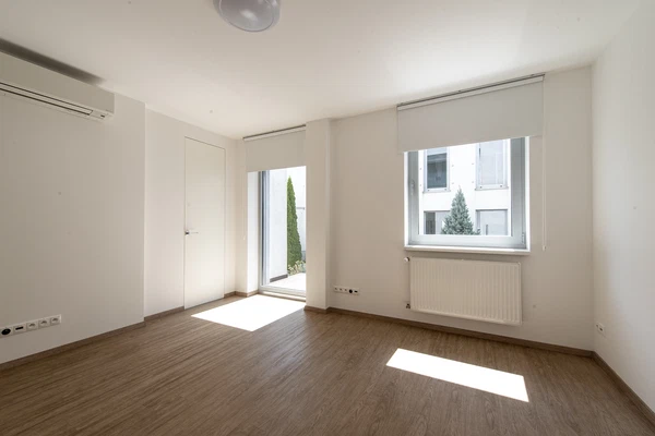 Tajovského, Staré Mesto - Bratislava I | Rent, Apartment, Four-bedroom (5+kk), 315 m²