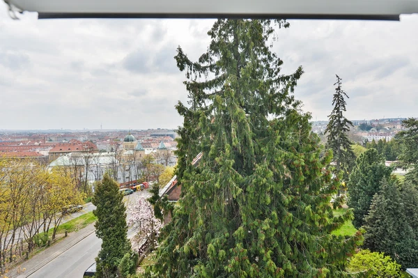 Šárecká, Dejvice - Prague 6 | Rent, Apartment, Four-bedroom (5+kk), 206 m²