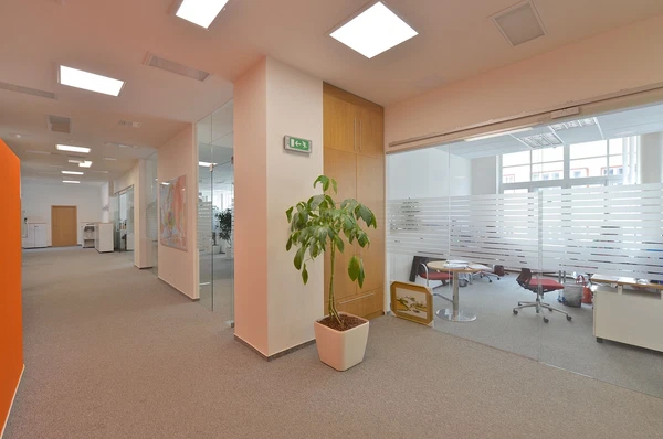 U Libeňského pivovaru, Libeň - Praha 8 | Pronájem, Administrativní budova, 544 m²