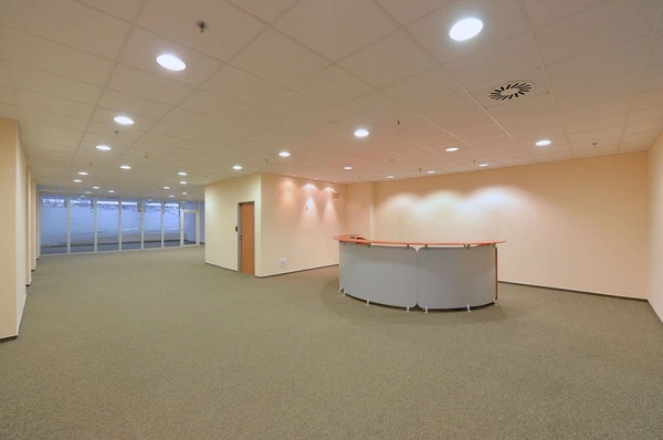 V Celnici, Staré Město - Prague 1 | Rent, Office space, 800 m²