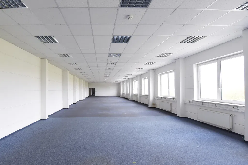 U Nové Hospody, Skvrňany - Plzeň-město | Pronájem, Skladový prostor, 11 000 m²