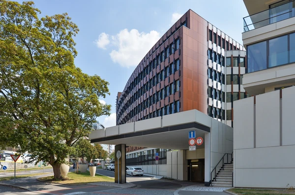 Lomnického, Nusle - Prague 4 | Rent, Office building, 208 m²