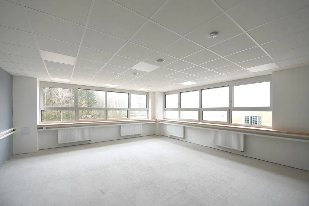 Střítež - Jihlava | Pronájem, Výrobní prostor, 6 590 - 14 790 m²