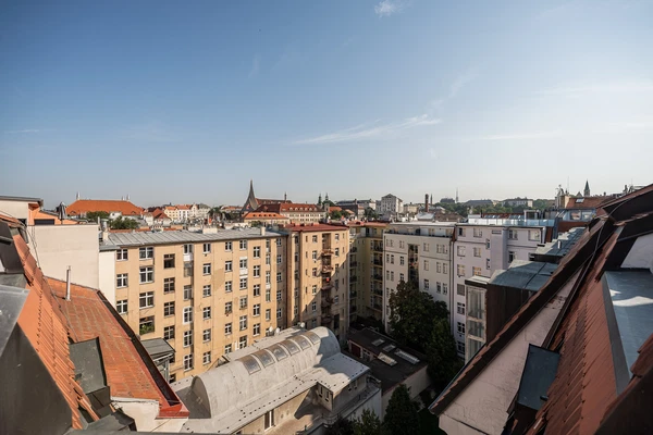 Ladova, Nové Město - Prague 2 | Sale, Apartment, Two-bedroom (3+kk), 116 m²