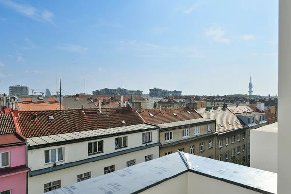 Biskupcova, Žižkov - Prague 3 | Sale, Apartment, Two-bedroom (3+kk), 225 m²