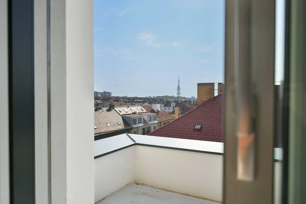 Biskupcova, Žižkov - Prague 3 | Sale, Apartment, Two-bedroom (3+kk), 225 m²