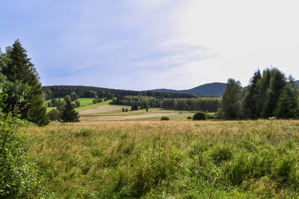 Borová Lada - Prachatice | Sale, Land, 5 184 m²