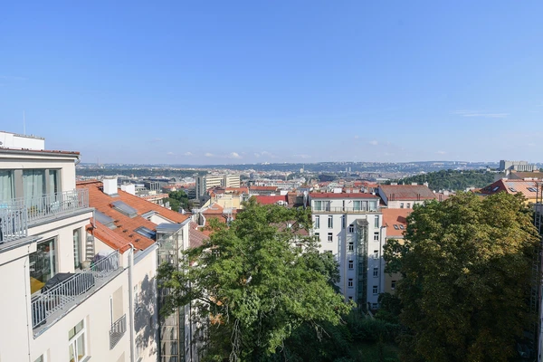 Ježkova, Žižkov - Prague 3 | Sale, Apartment, Four-bedroom (5+1), 223 m²