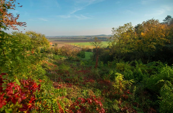 Dřínov - Mělník | Sale, Land, 1 687 m²