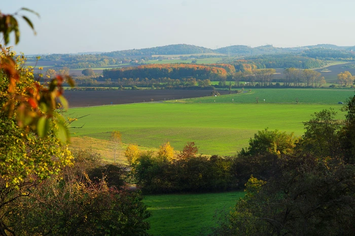 Dřínov - Mělník | Sale, Land, 1 687 m²