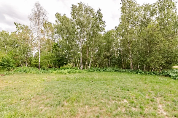 Borůvková, Černolice - Praha-západ | Sale, Land, 2 516 m²