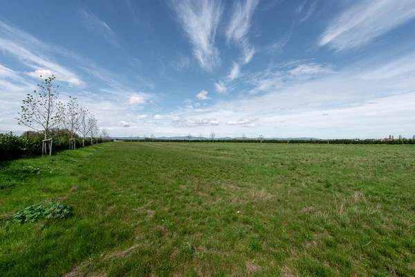 Reca - Senec | Sale, Land, 1 648 m²