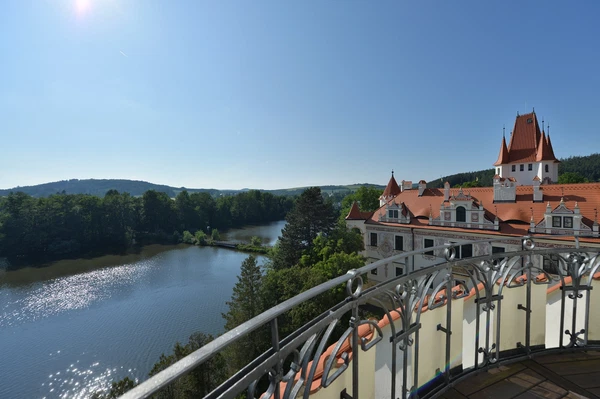 Žinkovy - Klatovy | Sale, Historic property, 12 000 m²