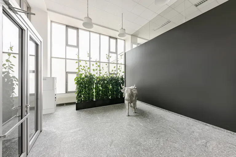Jankovcova, Holešovice - Praha 7 | Pronájem, Kancelářské prostory, 294 m²