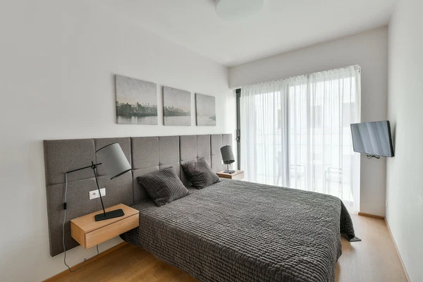 Purkyňova, Nové Město - Prague 1 | Rent, Apartment, One-bedroom (2+kk), 47 m²