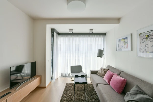 Purkyňova, Nové Město - Prague 1 | Rent, Apartment, One-bedroom (2+kk), 47 m²