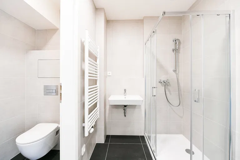 V Háji, Holešovice - Prague 7 | Rent, Apartment, Studio (1+kk), 47 m²