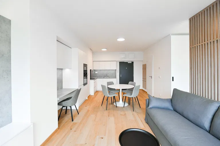 V Háji, Holešovice - Prague 7 | Rent, Apartment, Studio (1+kk), 47 m²
