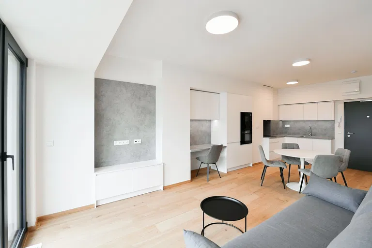 V Háji, Holešovice - Prague 7 | Rent, Apartment, Studio (1+kk), 47 m²