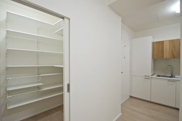 Lucemburská, Vinohrady - Praha 3 | Pronájem, Byt, 2+kk, 54 m²