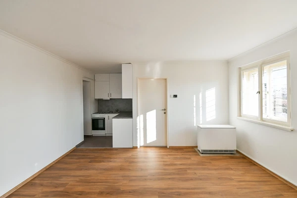 Na Šumavě, Smíchov - Prague 5 | Rent, House, Six-bedroom (7+1), 330 m²