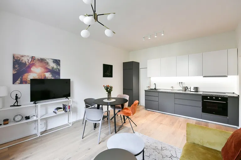 Písecká, Vinohrady - Prague 3 | Rent, Apartment, One-bedroom (2+kk), 47 m²