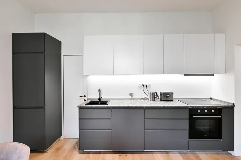 Písecká, Vinohrady - Prague 3 | Rent, Apartment, One-bedroom (2+kk), 47 m²