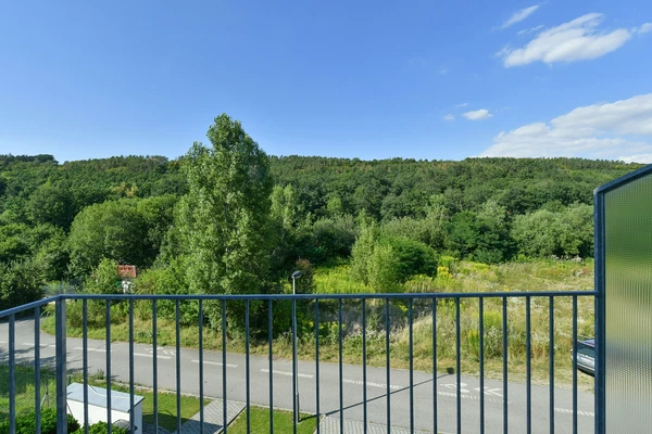 K Vinicím, Nebušice - Prague 6 | Rent, House, Four-bedroom (5+1), 230 m²