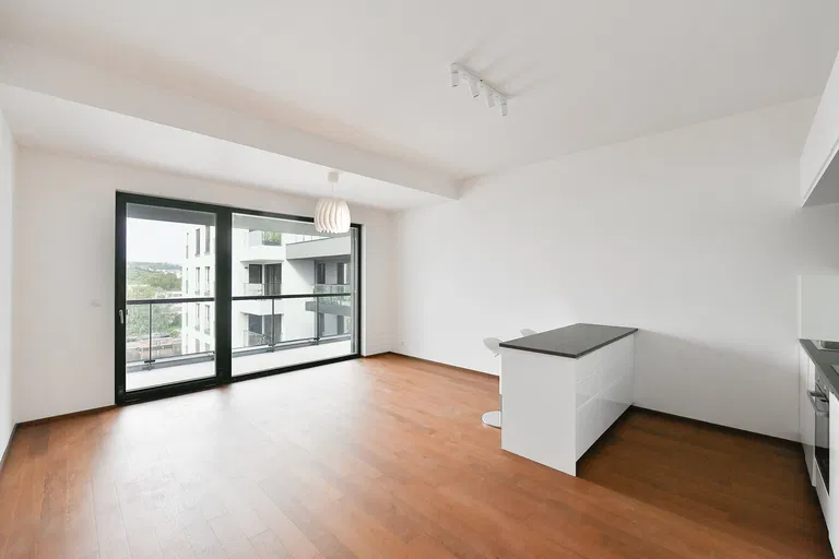 Jankovcova, Holešovice - Praha 7 | Pronájem, Byt, 2+kk, 73 m²