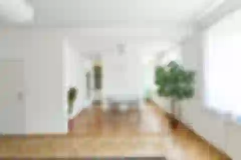 U Gymnázia, Nusle - Prague 4 | Rent, Apartment, One-bedroom (2+1), 104 m²