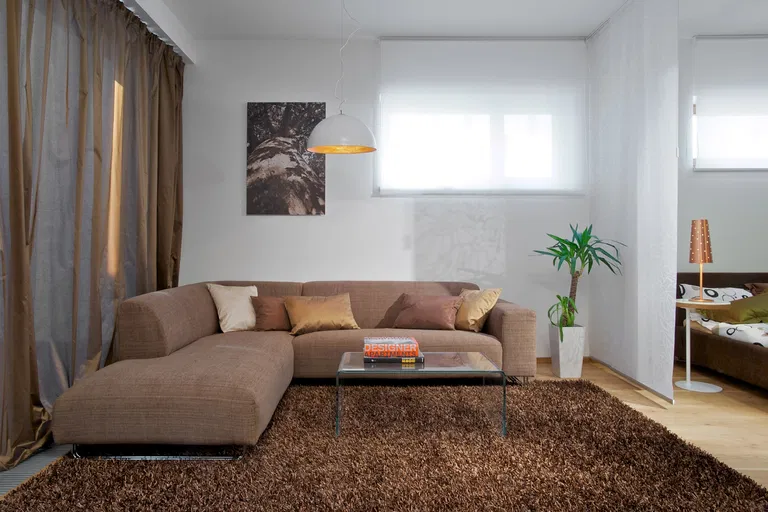 Uruguayská, Vinohrady - Prague 2 | Rent, Apartment, Studio (1+kk), 60 m²