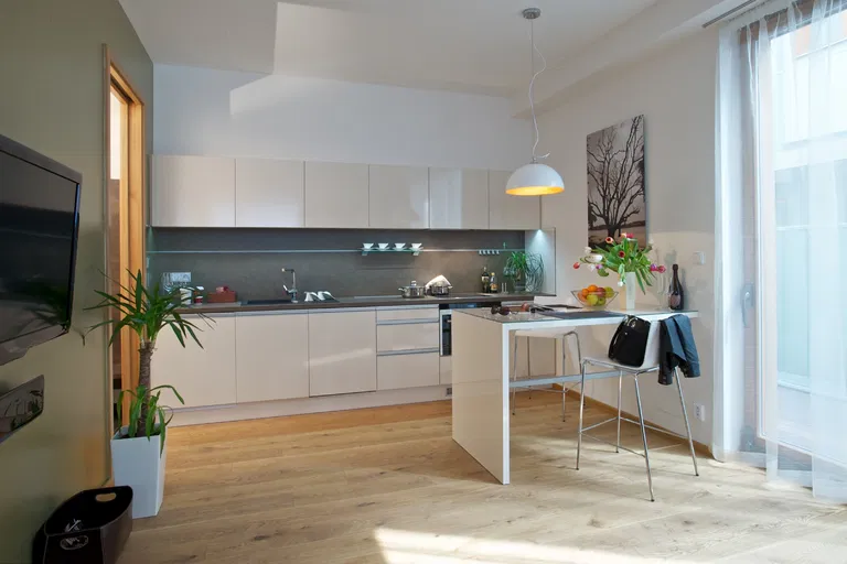 Uruguayská, Vinohrady - Prague 2 | Rent, Apartment, Studio (1+kk), 60 m²