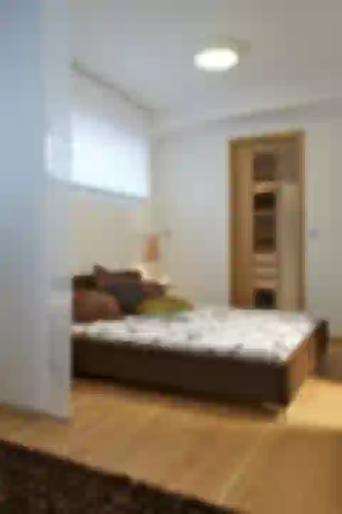 Uruguayská, Vinohrady - Prague 2 | Rent, Apartment, Studio (1+kk), 55 m²