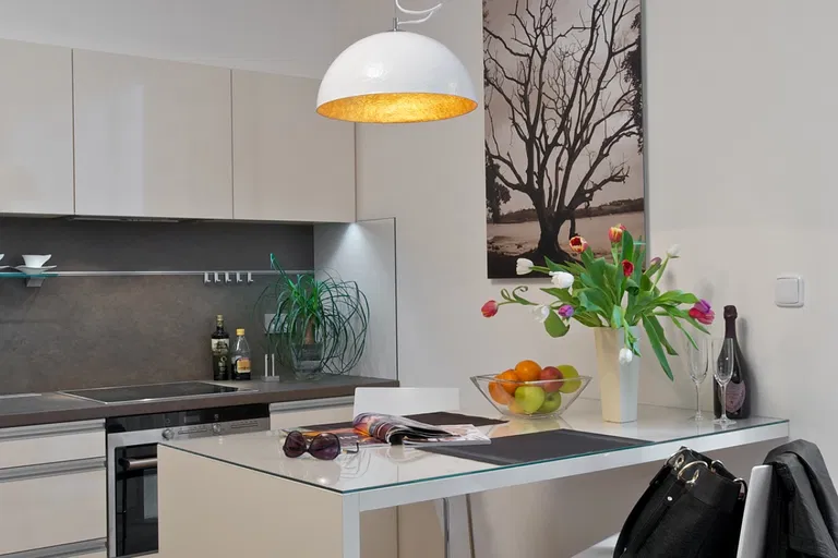 Uruguayská, Vinohrady - Prague 2 | Rent, Apartment, Studio (1+kk), 60 m²