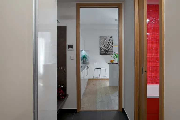 Uruguayská, Vinohrady - Prague 2 | Rent, Apartment, Studio (1+kk), 60 m²