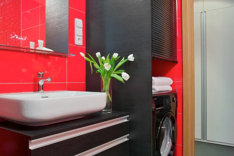 Uruguayská, Vinohrady - Prague 2 | Rent, Apartment, Studio (1+kk), 60 m²