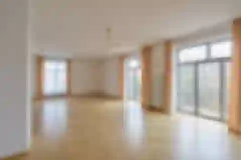 Rooseveltova, Bubeneč - Prague 6 | Rent, Apartment, Five-bedroom (6+1), 371 m²