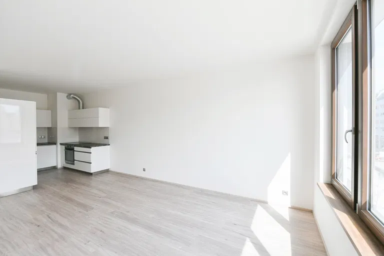 Bassova, Vysočany - Prague 9 | Rent, Apartment, One-bedroom (2+kk), 61 m²