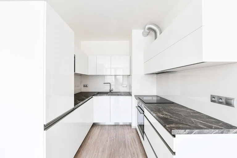 Bassova, Vysočany - Prague 9 | Rent, Apartment, One-bedroom (2+kk), 61 m²