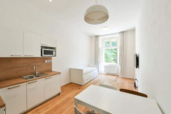 Peckova, Karlín - Prague 8 | Rent, Apartment, Studio (1+kk), 33 m²