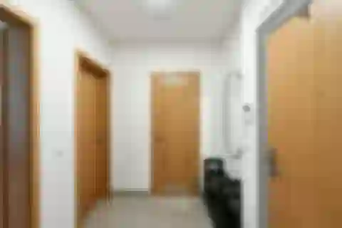 Argentinská, Holešovice - Prague 7 | Rent, Apartment, One-bedroom (2+kk), 49 m²