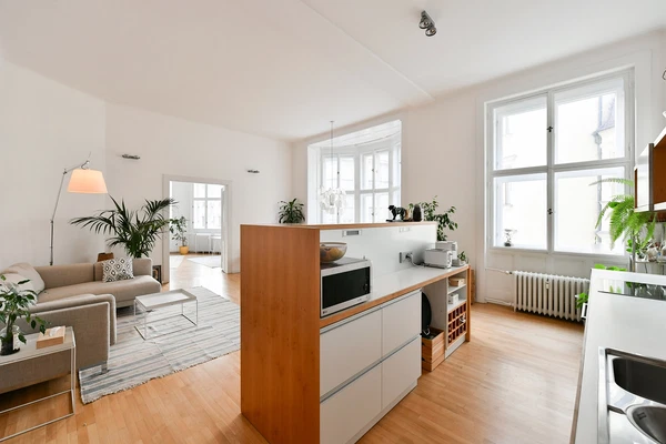 Žatecká, Josefov - Prague 1 | Rent, Apartment, One-bedroom (2+1), 91 m²