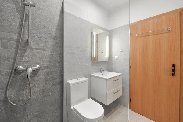 U Dvou srpů, Smíchov - Praha 5 | Pronájem, Rodinný dům, 5+1, 183 m²