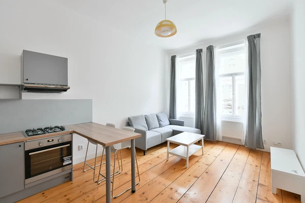 Řipská, Vinohrady - Praha 3 | Pronájem, Byt, 2+kk, 47 m²